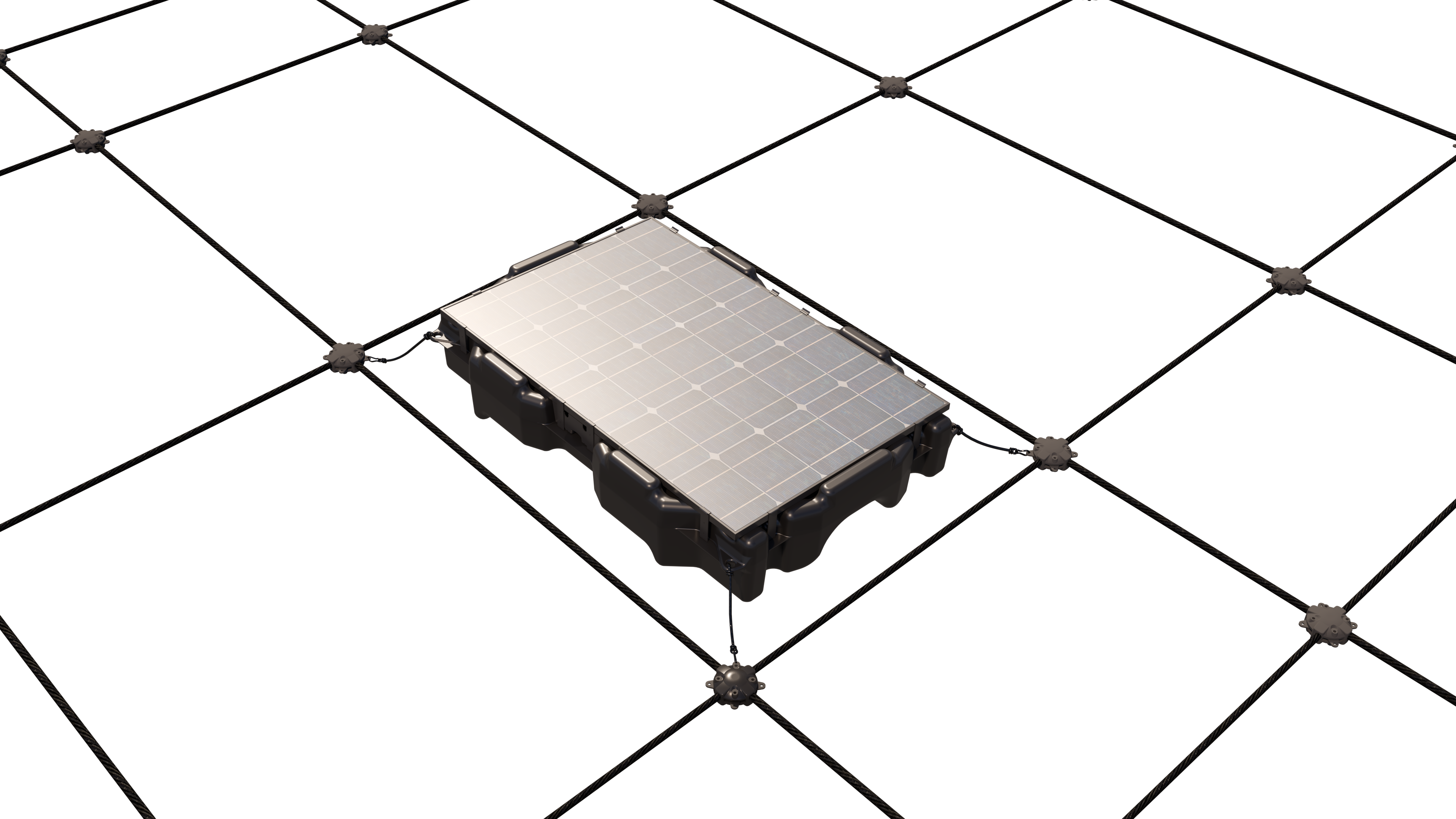 One Alone Transparent