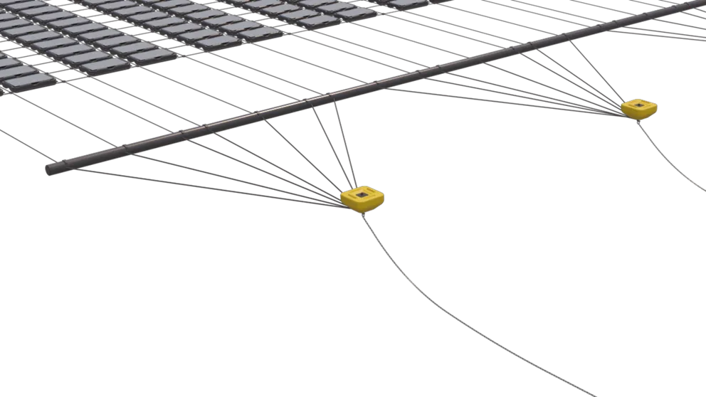 Bridle