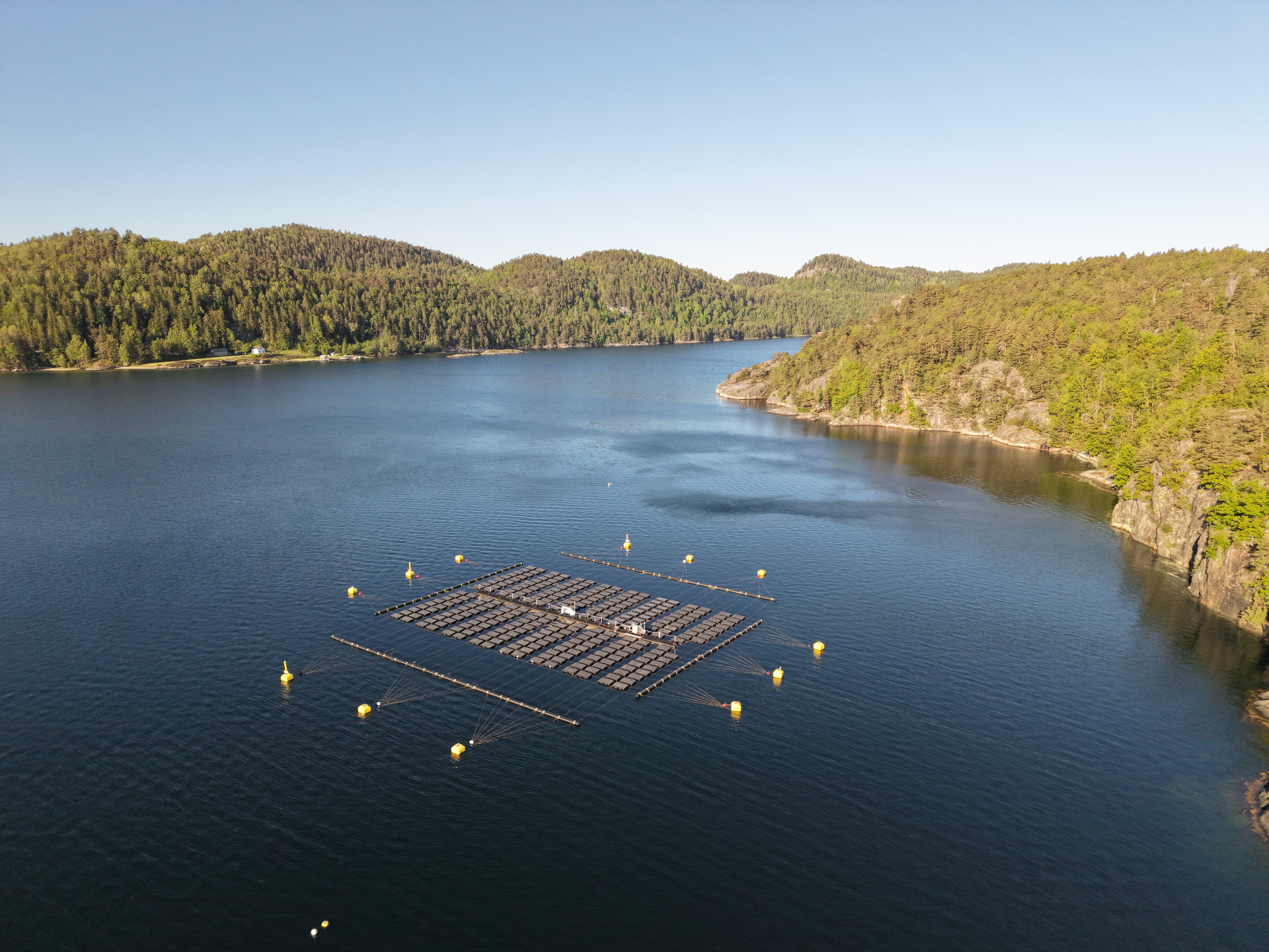 Tension Buoy In Action