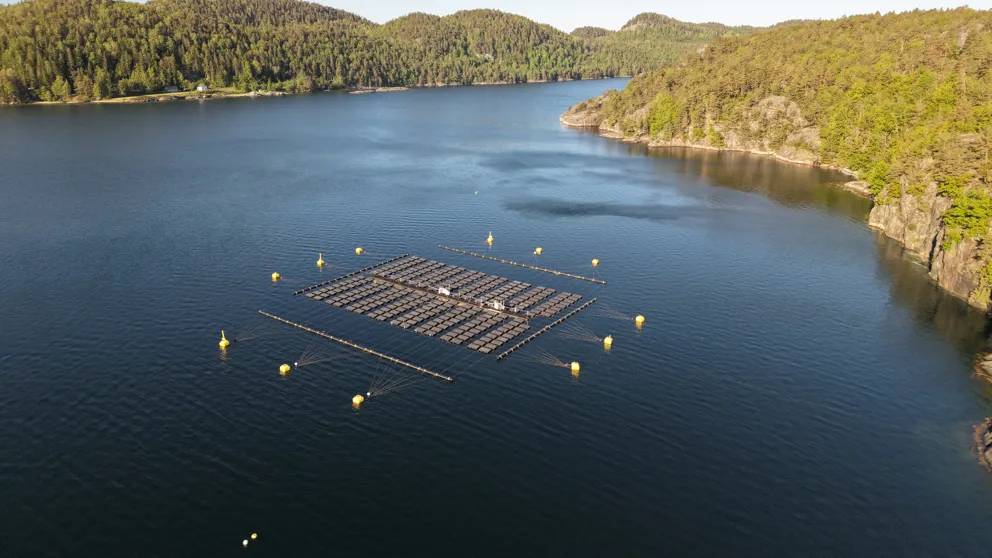 Tension Buoy In Action