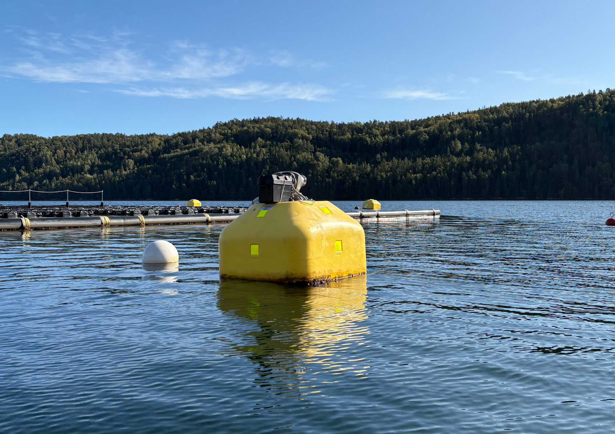 Tension Buoy Risør (2)